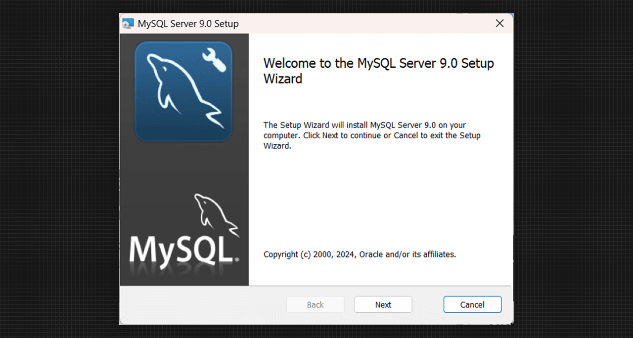 First window of MySQL Server 9.0 Setup