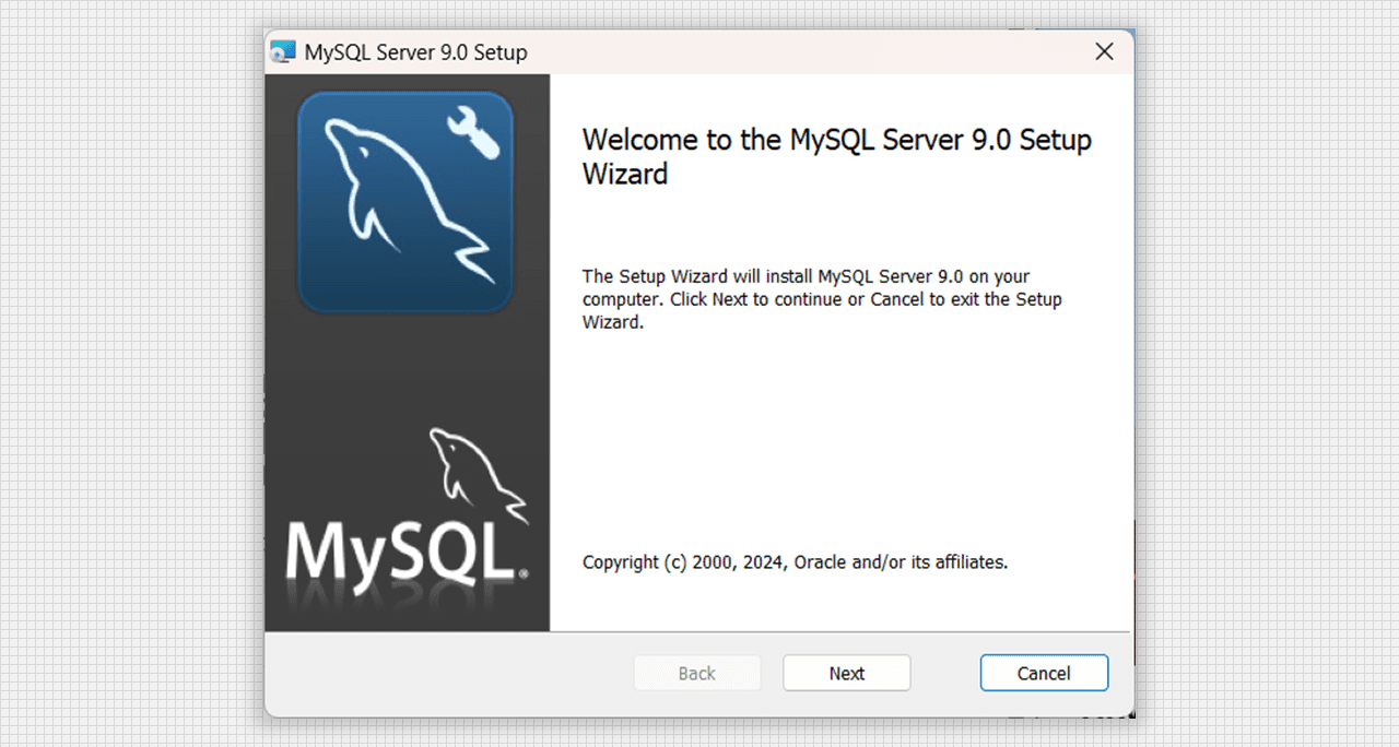 First window of MySQL Server 9.0 Setup