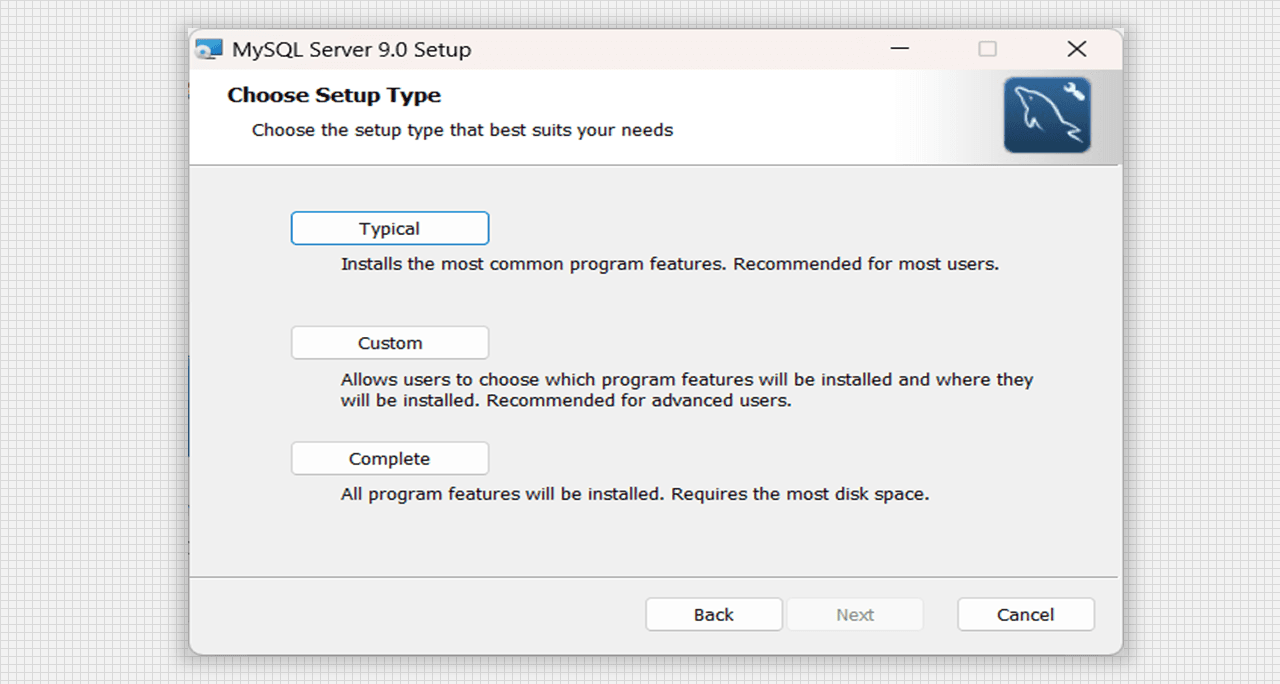 Choose the Setup Type of MySQL Server 9.0