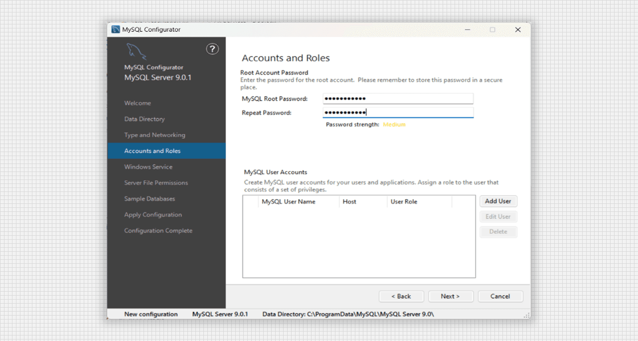 Accounts and Roles of MySQL Server 9.0 Setup
